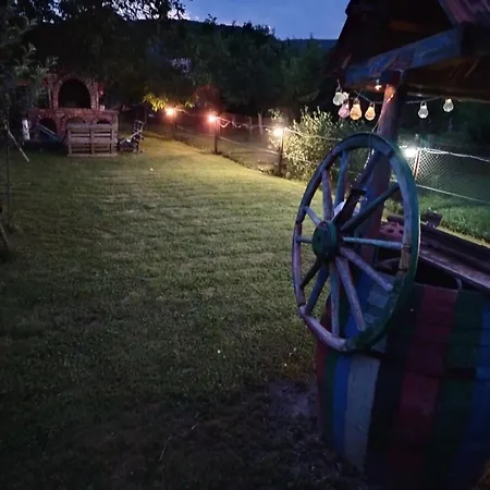 Midana 维尔蒂尼克