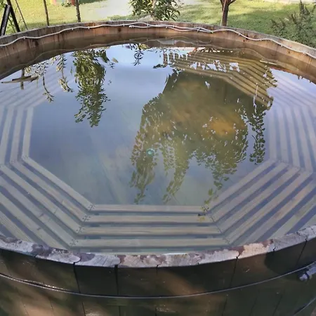 Midana * 维尔蒂尼克